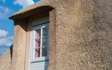 Marsh Houses thatch roof disadvantages